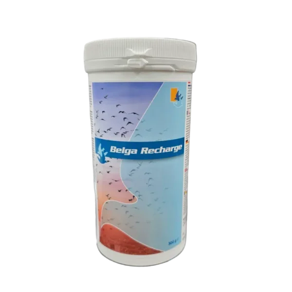 Belga recharge 300 GR