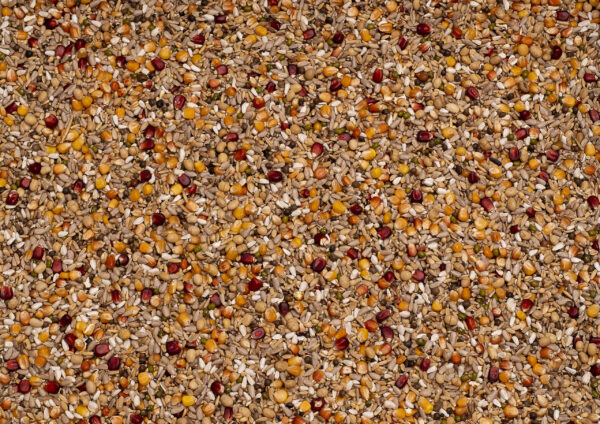 Beyers galaxy sport energy 20kg