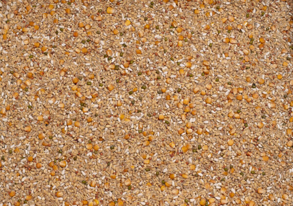 Beyers enzymix 7/48 ms recup 20 kg