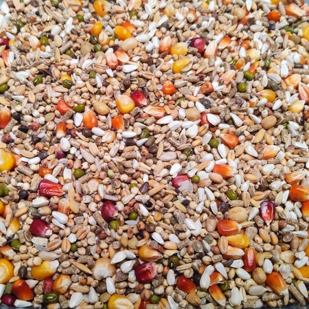 Vanrobaeys Nr. 53 sport ultra pro 20 kg