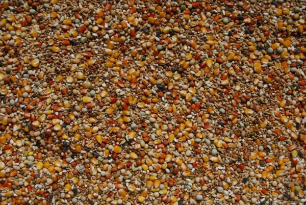 Matador premium athletic 20 kg