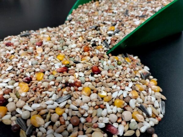 Boerenduiven jonge duivenmix 20 kg