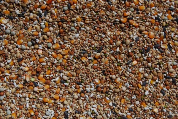 Matador premium kweek olympia 20 kg