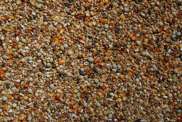 Matador premium super kweek 20 kg